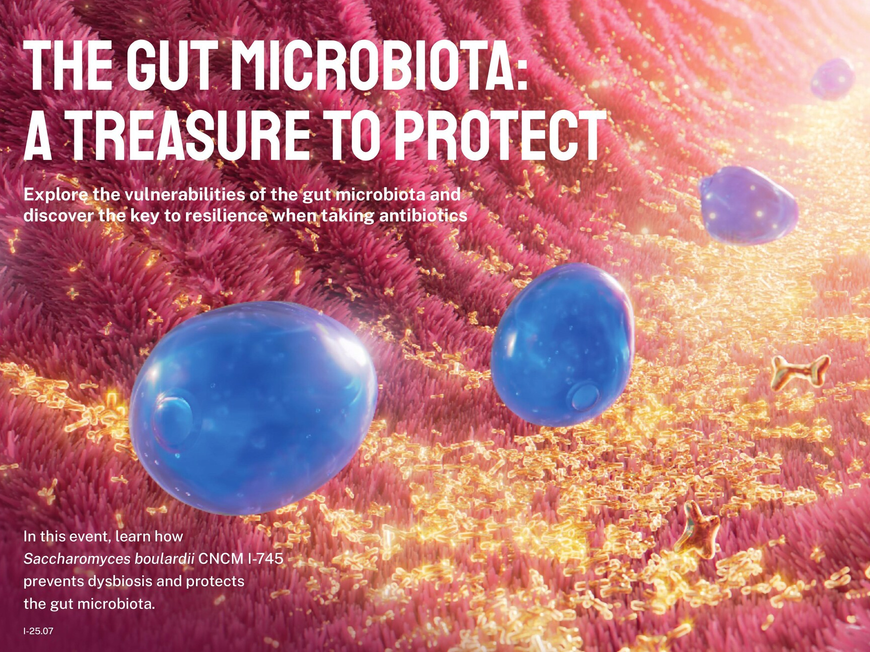 Enterol gut microbiota key visual